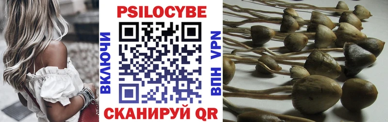 KRAKEN ссылка  где купить наркоту  Жуков  Галлюциногенные грибы Psilocybine cubensis 